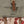 Cargar imagen en el visor de la galería, morraldama_2261_verde
